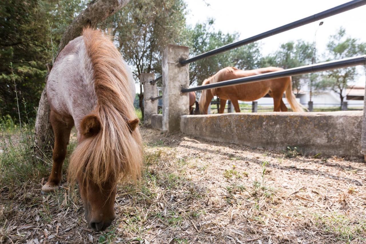 Masia Can Rovira - Esc1852 San Lorenzo de Hortóns Exteriör bild