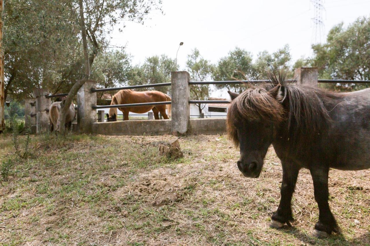Masia Can Rovira - Esc1852 San Lorenzo de Hortóns Exteriör bild