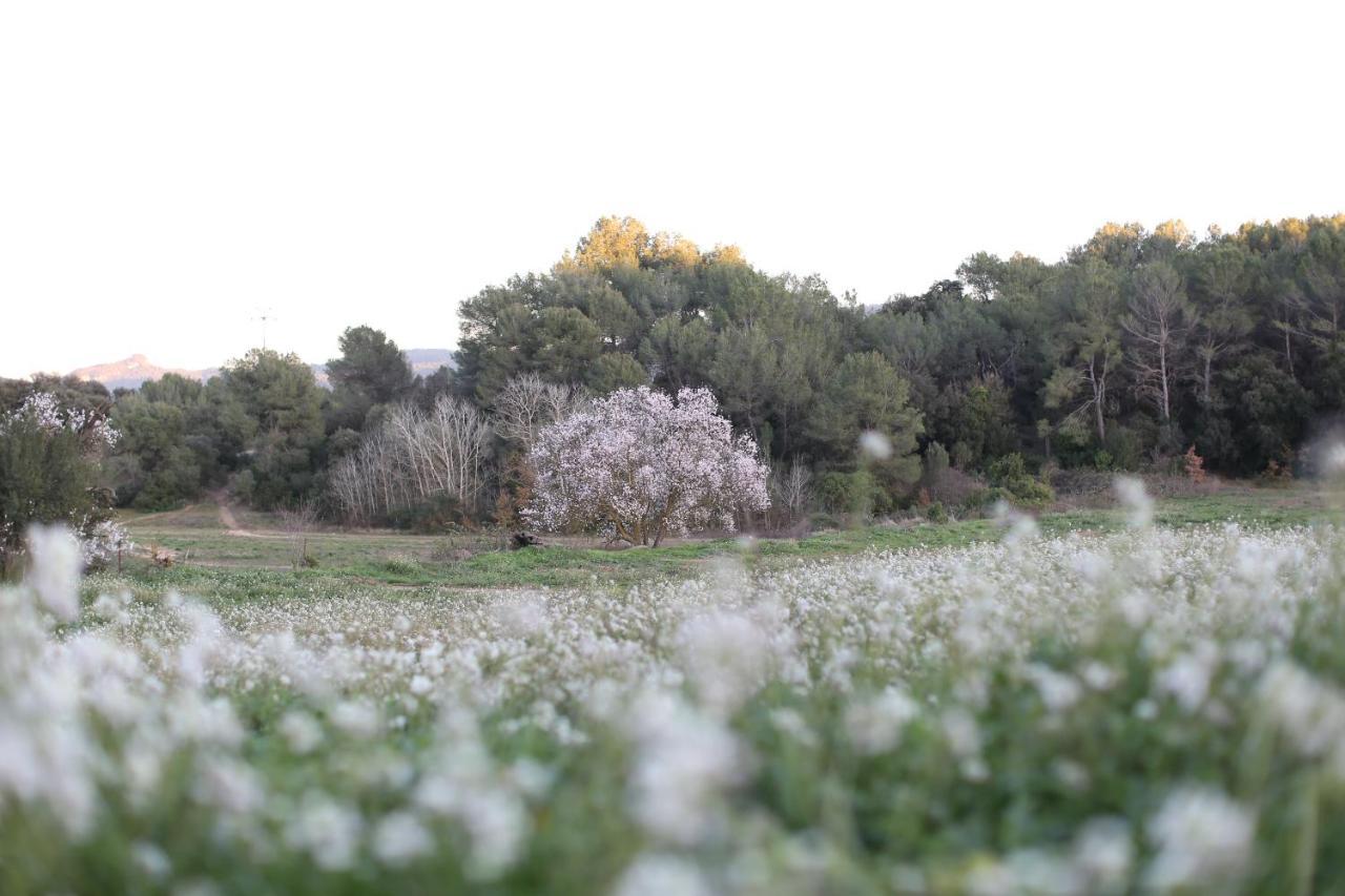 Masia Can Rovira - Esc1852 San Lorenzo de Hortóns Exteriör bild